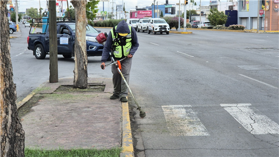 Municipio de Chihuahua intensifica retiro de maleza en vialidades del norte tras lluvias - imagen 1