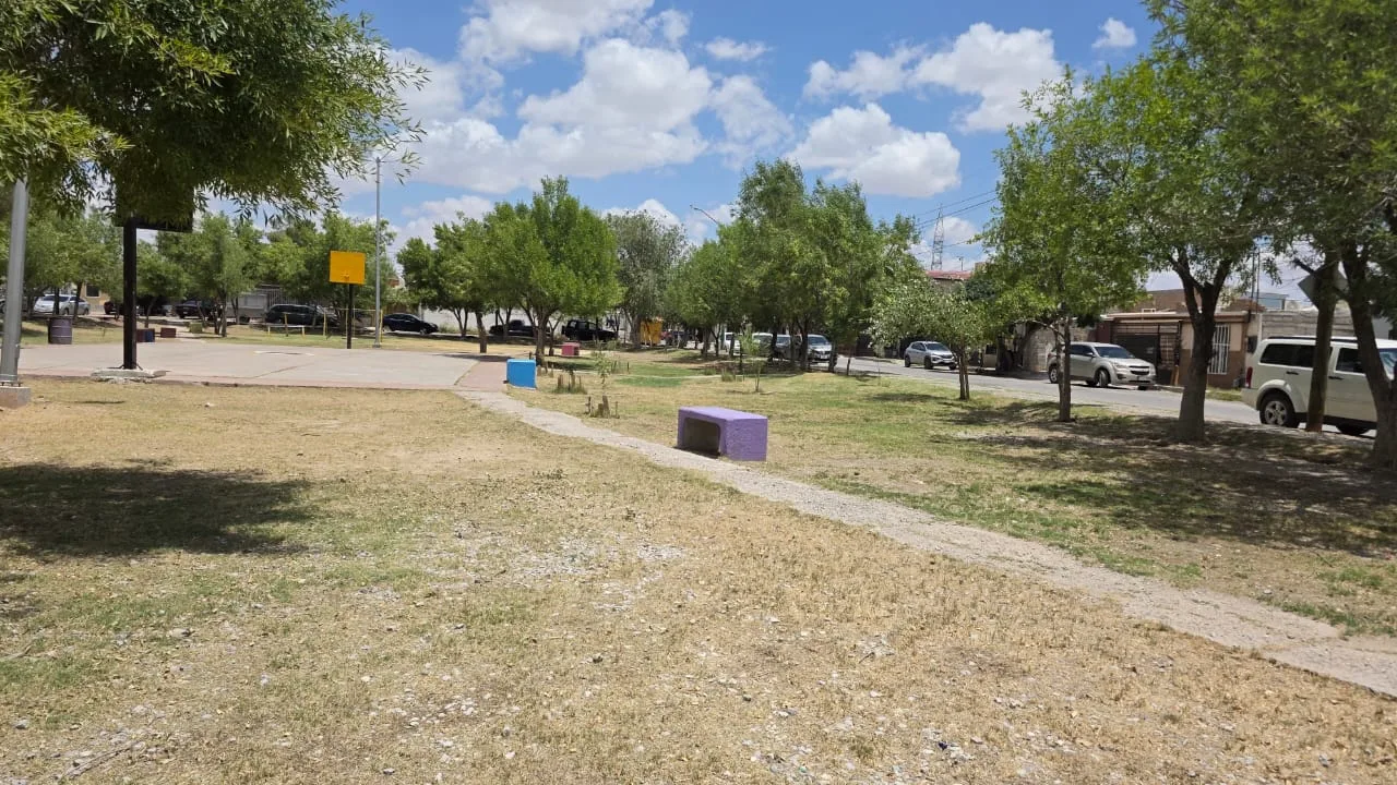 Realizan mantenimiento integral en el parque Bosques de Waterfill en Ciudad Juárez - imagen 1