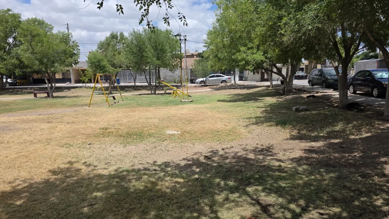 Realizan mantenimiento integral en el parque Bosques de Waterfill en Ciudad Juárez - imagen 2