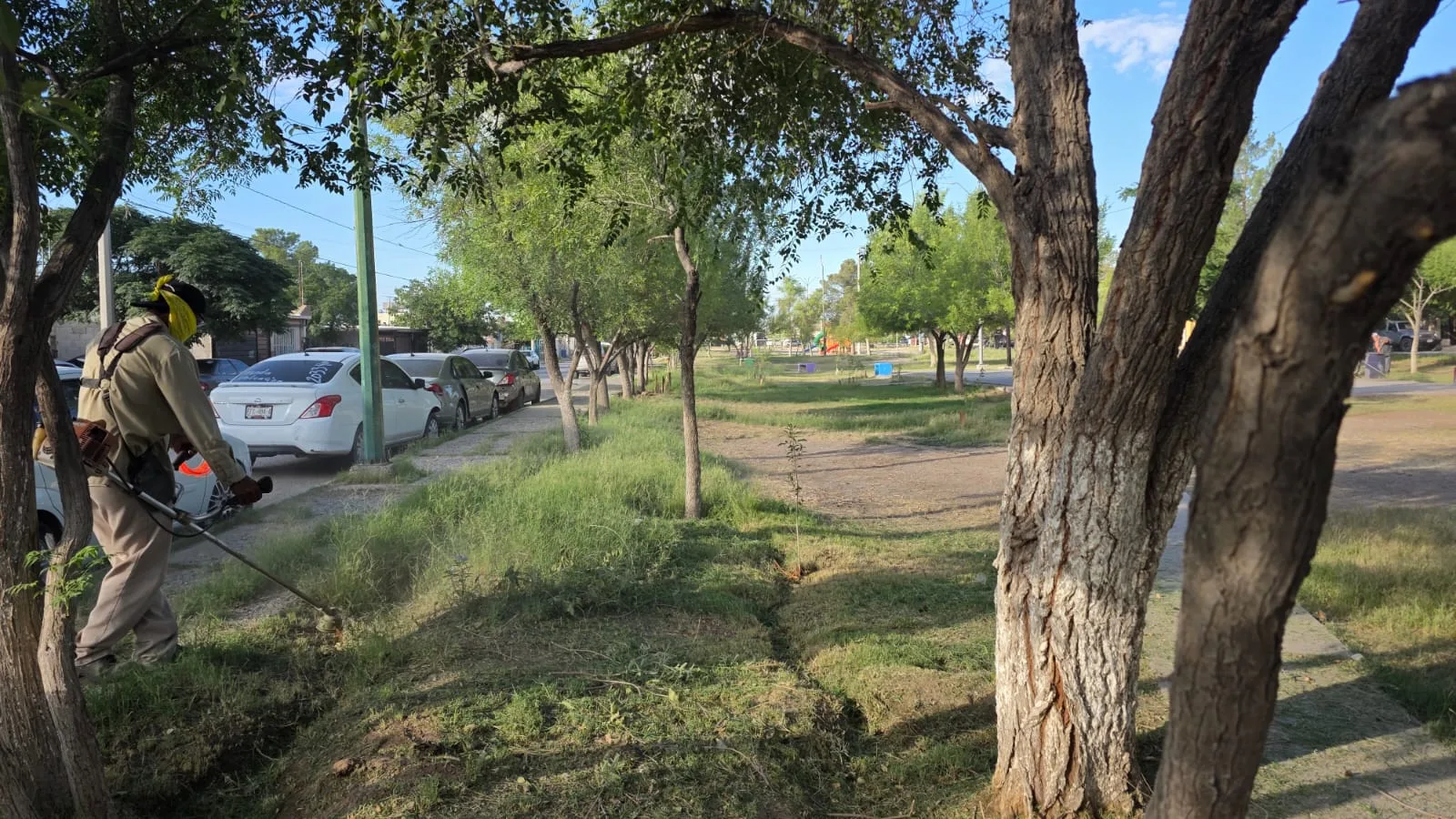 Realizan mantenimiento integral en el parque Bosques de Waterfill en Ciudad Juárez - imagen 4