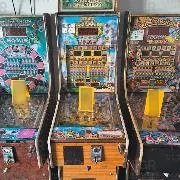 FGR asegura 20 minicasinos en operativo contra juegos ilegales en Gutiérrez Zamora, Veracruz - imagen 5