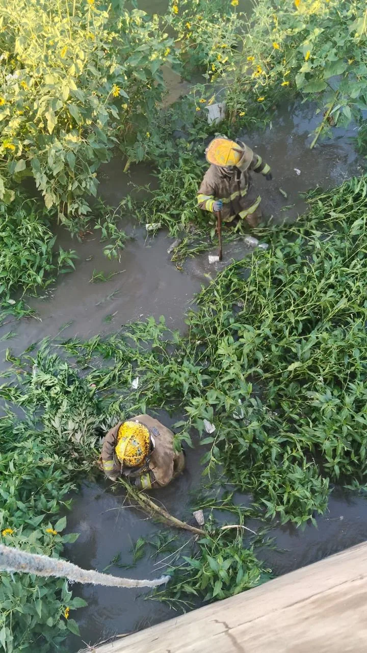 Incendio en joyerías del Río Grande Mall moviliza a Protección Civil en Río Grande - imagen 2