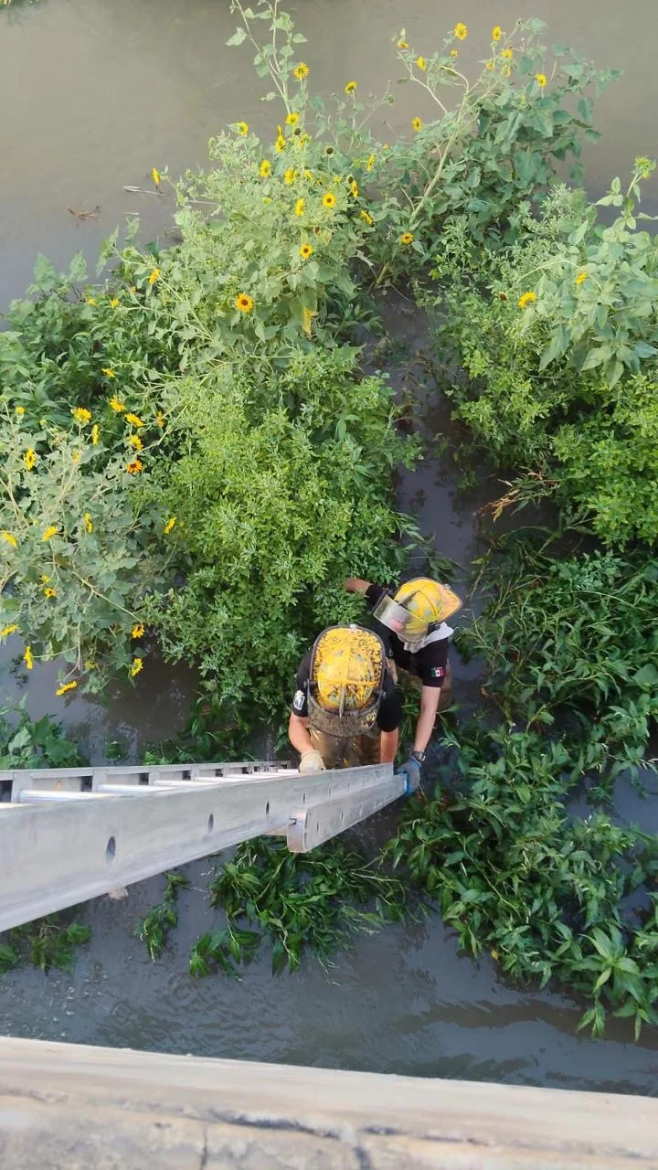 Incendio en joyerías del Río Grande Mall moviliza a Protección Civil en Río Grande - imagen 3