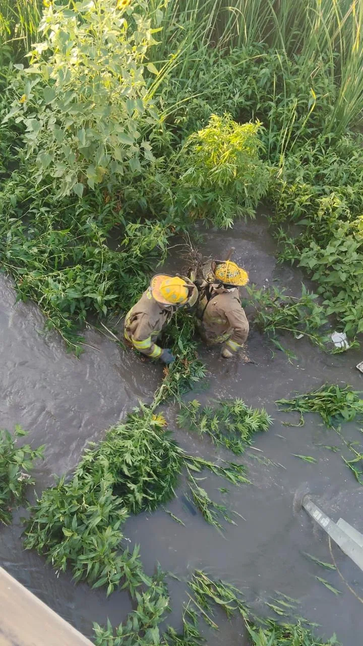 Incendio en joyerías del Río Grande Mall moviliza a Protección Civil en Río Grande - imagen 6