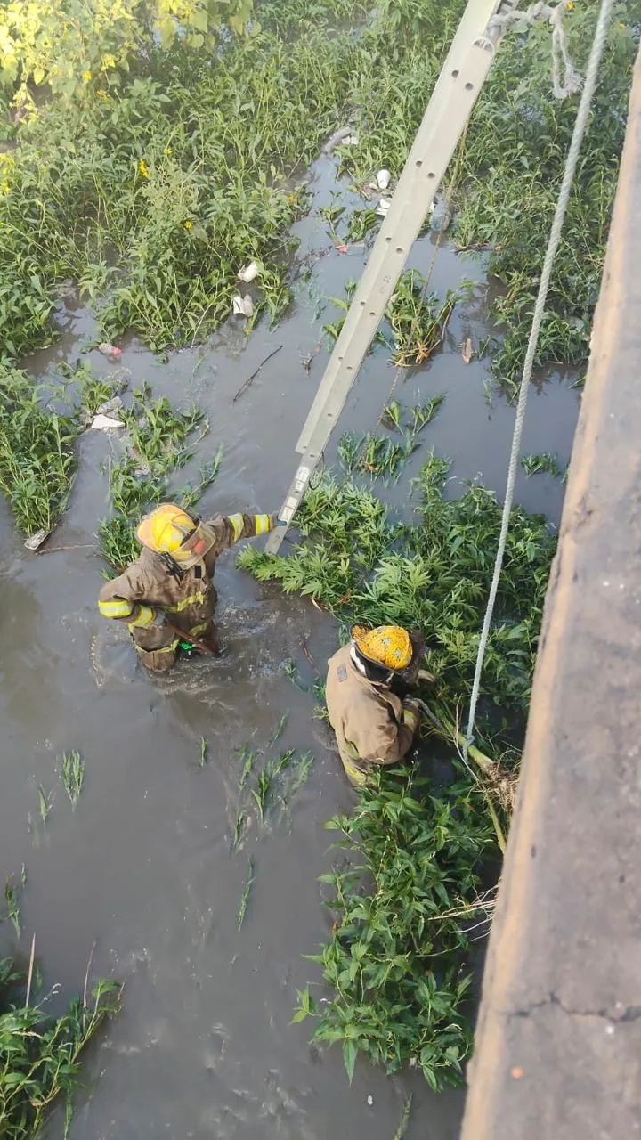 Incendio en joyerías del Río Grande Mall moviliza a Protección Civil en Río Grande - imagen 4