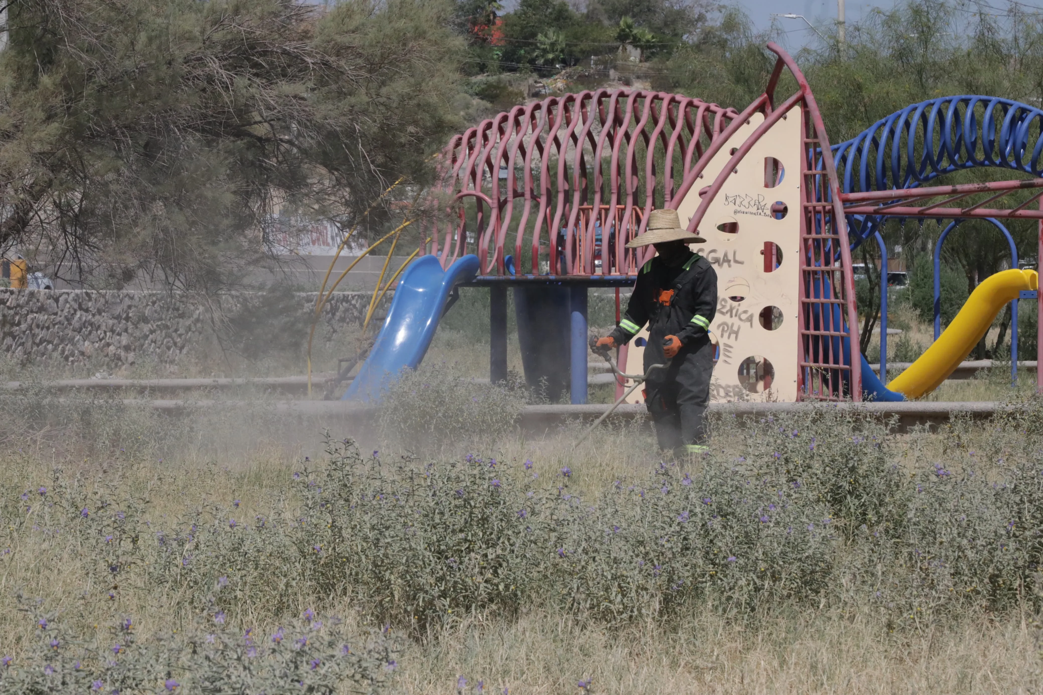 Realizan mantenimiento integral en Parque Las Tortugas de Ciudad Juárez - imagen 6