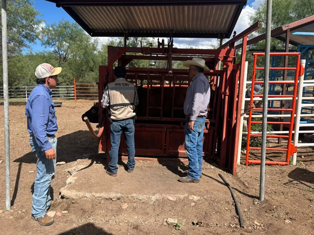 Inician saneamiento en rancho de Hidalgo del Parral tras detección de Gusano Barrenador del Ganado - imagen 1