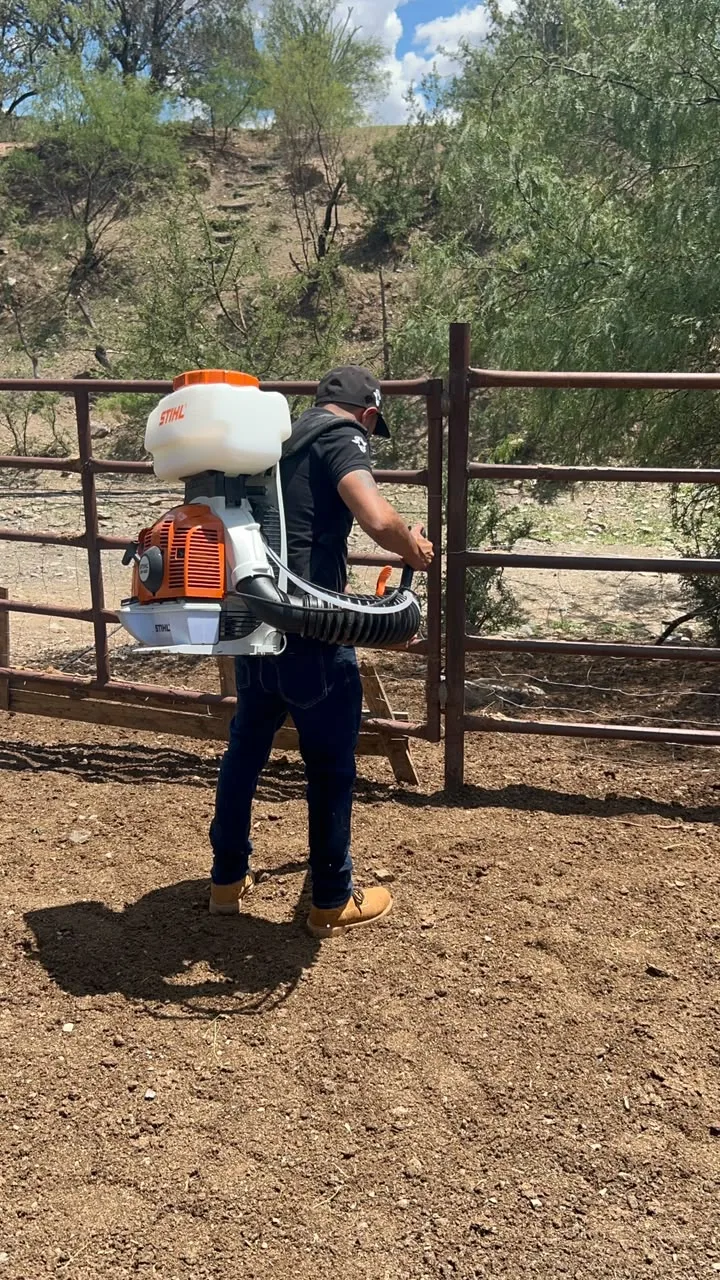 Inician saneamiento en rancho de Hidalgo del Parral tras detección de Gusano Barrenador del Ganado - imagen 2