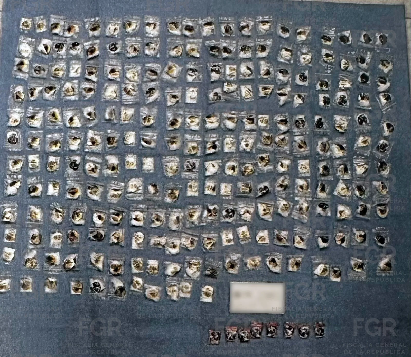 Condenan a ocho años de prisión a dos detenidos en San Luis Potosí por portación de arma larga y drogas - imagen 6