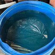 FGR asegura más de 1,800 litros de hidrocarburo en dos cateos en Veracruz - imagen 1