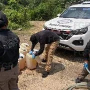 FGR asegura más de 1,800 litros de hidrocarburo en dos cateos en Veracruz - imagen 7