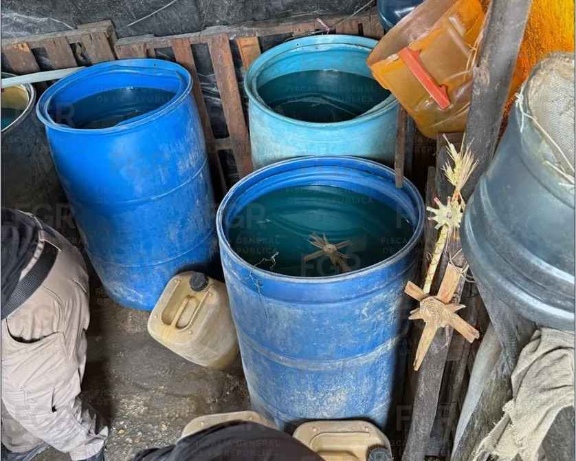 FGR asegura más de 1,800 litros de hidrocarburo en dos cateos en Veracruz - imagen 10