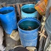FGR asegura más de 1,800 litros de hidrocarburo en dos cateos en Veracruz - imagen 11