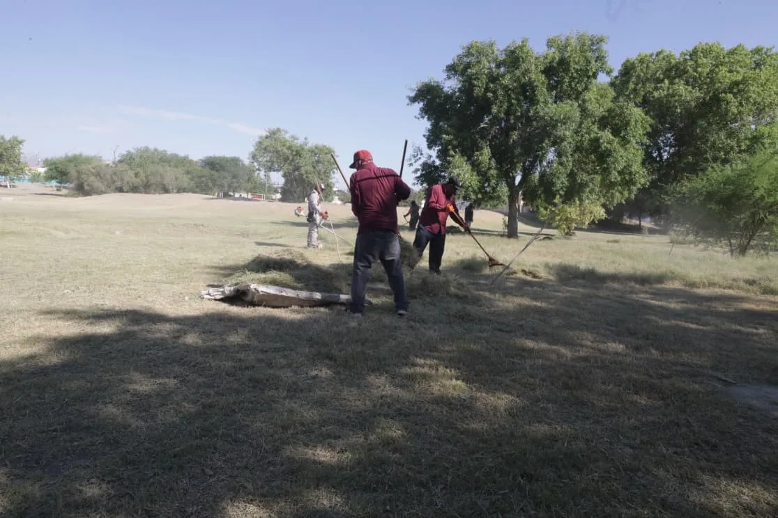 Realizan mantenimiento integral en el Parque Roma para mejorar espacios públicos - imagen 1