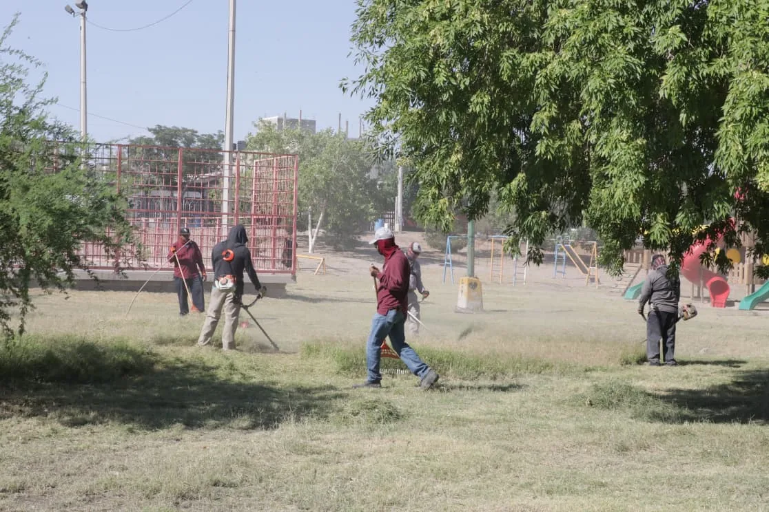 Realizan mantenimiento integral en el Parque Roma para mejorar espacios públicos - imagen 4