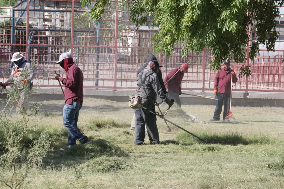 Realizan mantenimiento integral en el Parque Roma para mejorar espacios públicos - imagen 3