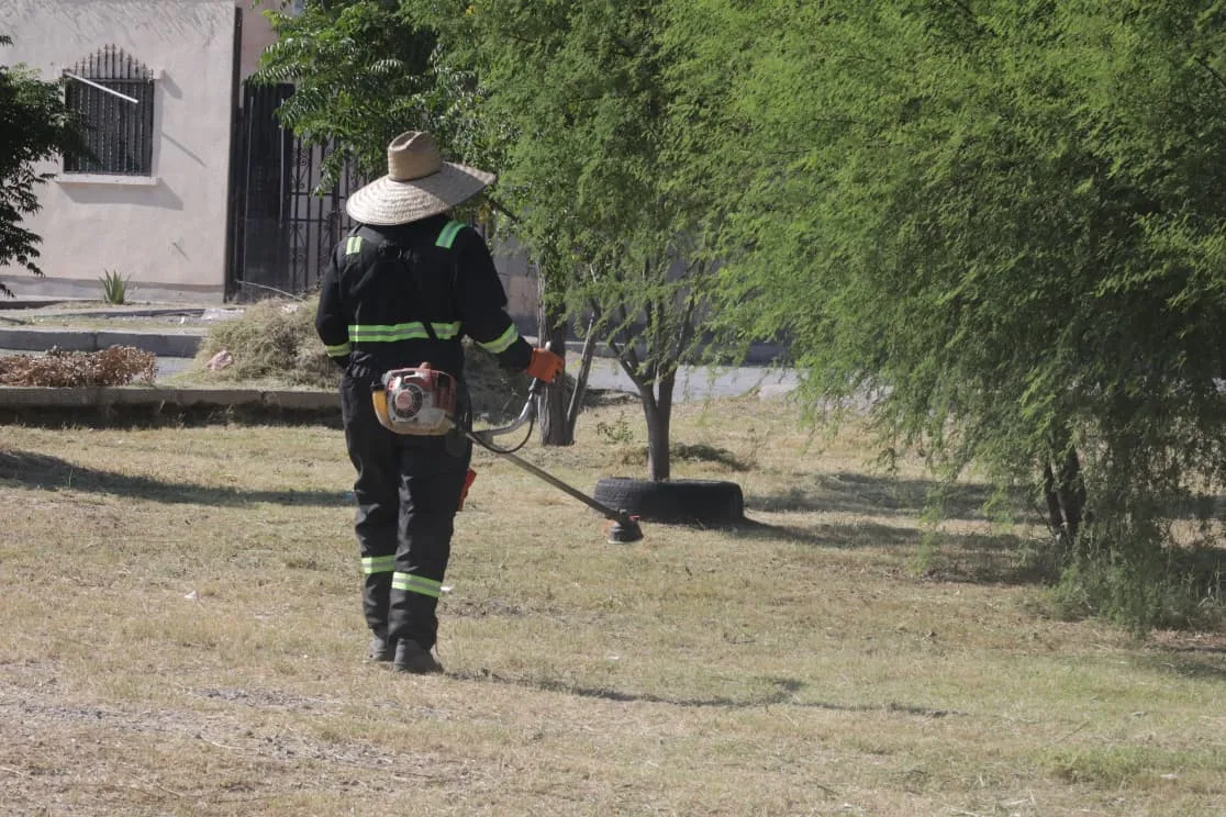Realizan mantenimiento integral en el Parque Roma para mejorar espacios públicos - imagen 5