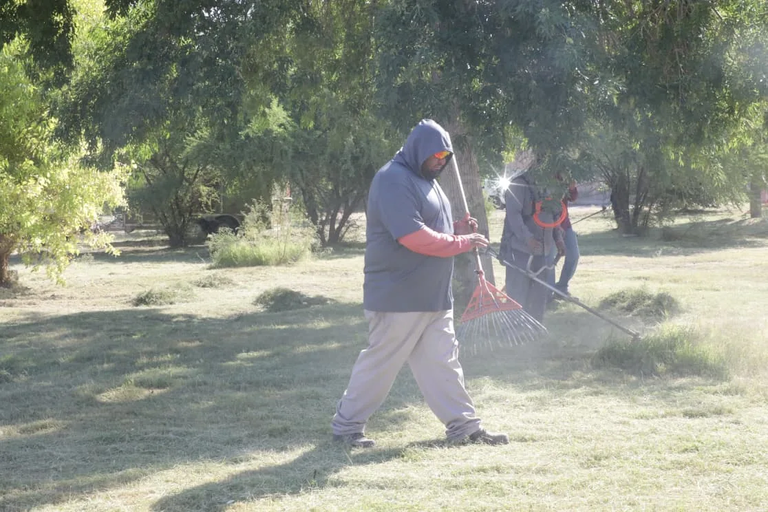Realizan mantenimiento integral en el Parque Roma para mejorar espacios públicos - imagen 7