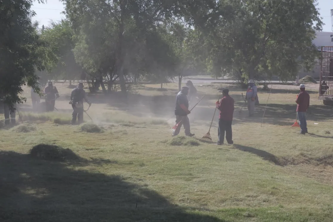Realizan mantenimiento integral en el Parque Roma para mejorar espacios públicos - imagen 10