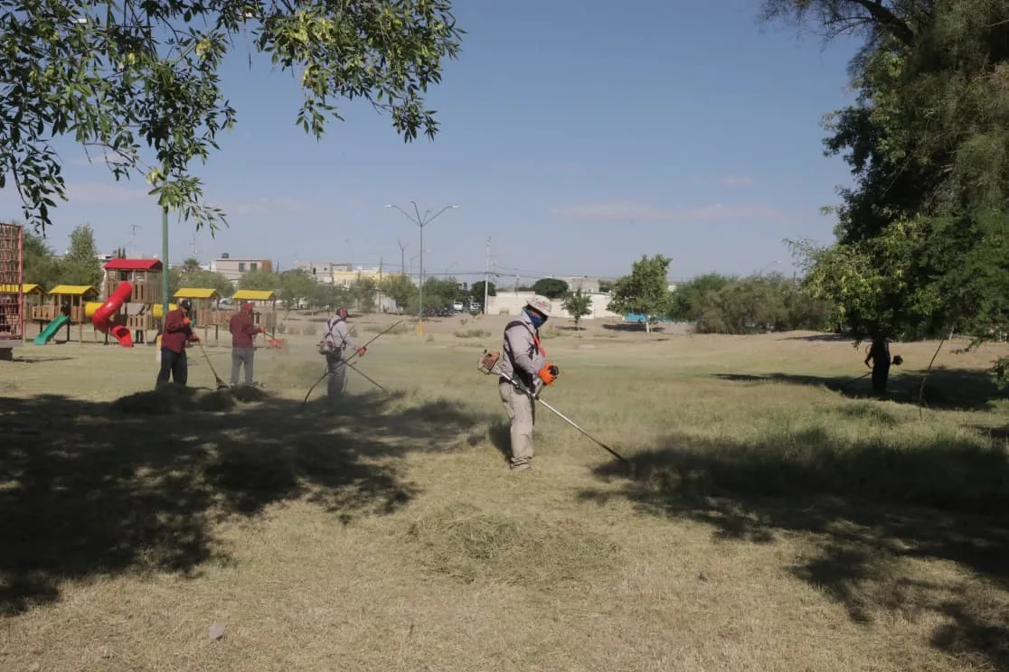 Realizan mantenimiento integral en el Parque Roma para mejorar espacios públicos - imagen 9