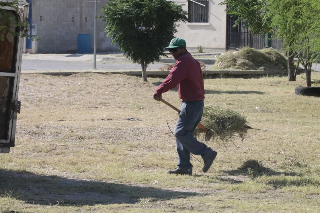 Realizan mantenimiento integral en el Parque Roma para mejorar espacios públicos - imagen 11