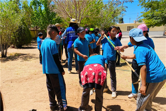 Chihuahua impulsa reforestación con 14 jornadas y 234 árboles plantados en 2026 - imagen 3