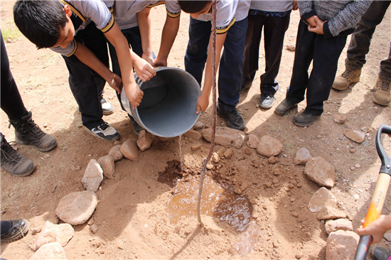 Chihuahua impulsa reforestación con 14 jornadas y 234 árboles plantados en 2026 - imagen 4