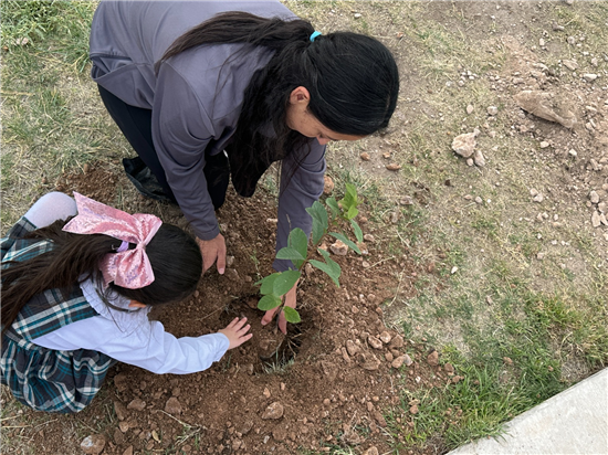 Chihuahua impulsa reforestación con 14 jornadas y 234 árboles plantados en 2026 - imagen 5