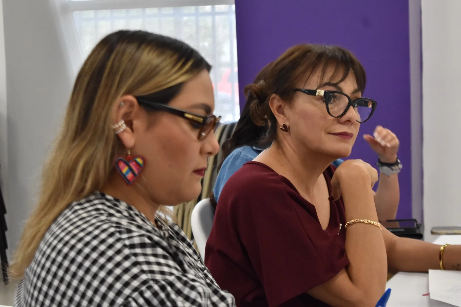 IMM anuncia creación de Unidad de Atención para Mujeres con Discapacidad en Guadalajara - imagen 4