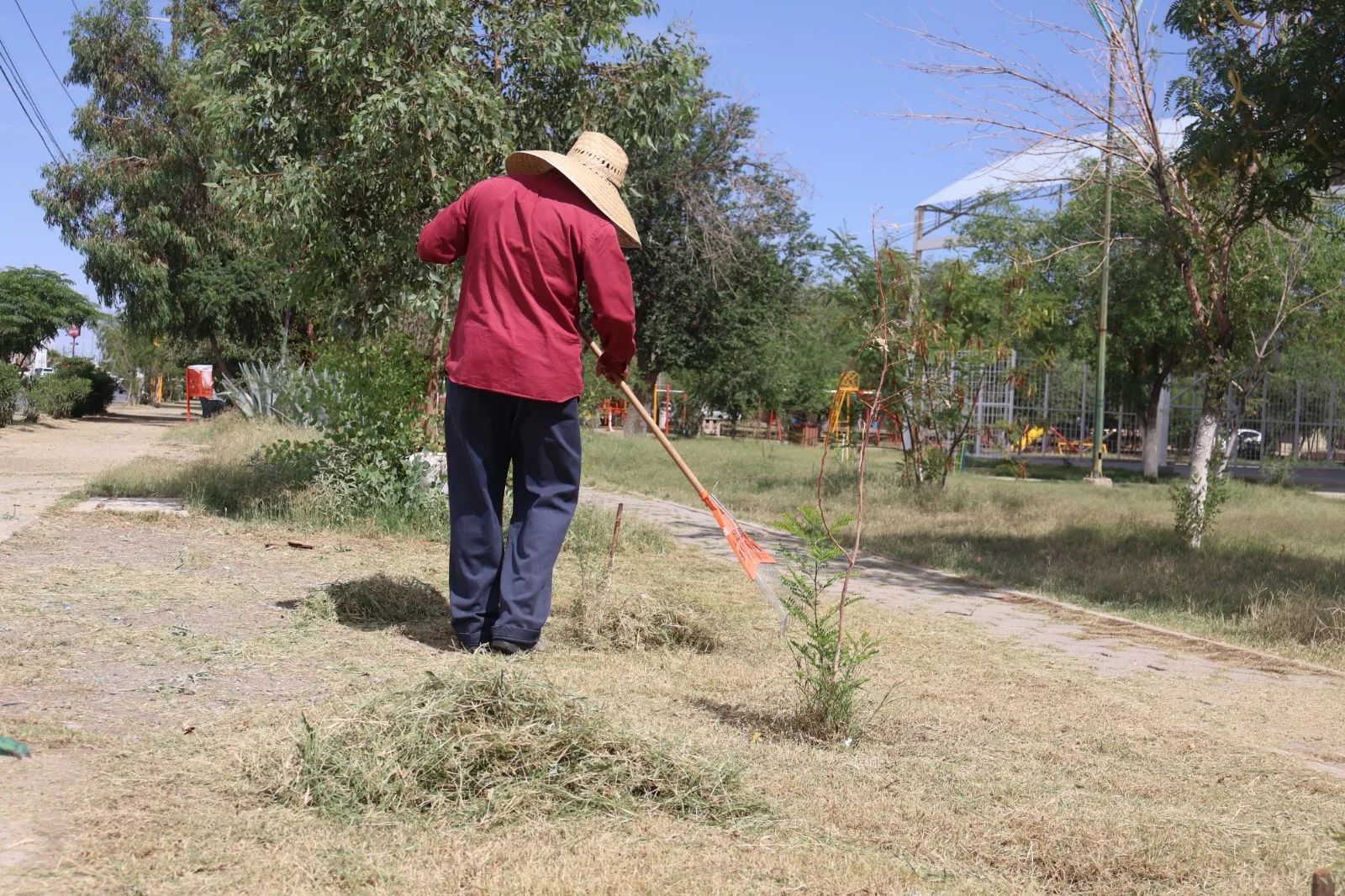 Mantenimiento en el Parque de La Familia busca mejorar espacios públicos en Ciudad Juárez - imagen 1