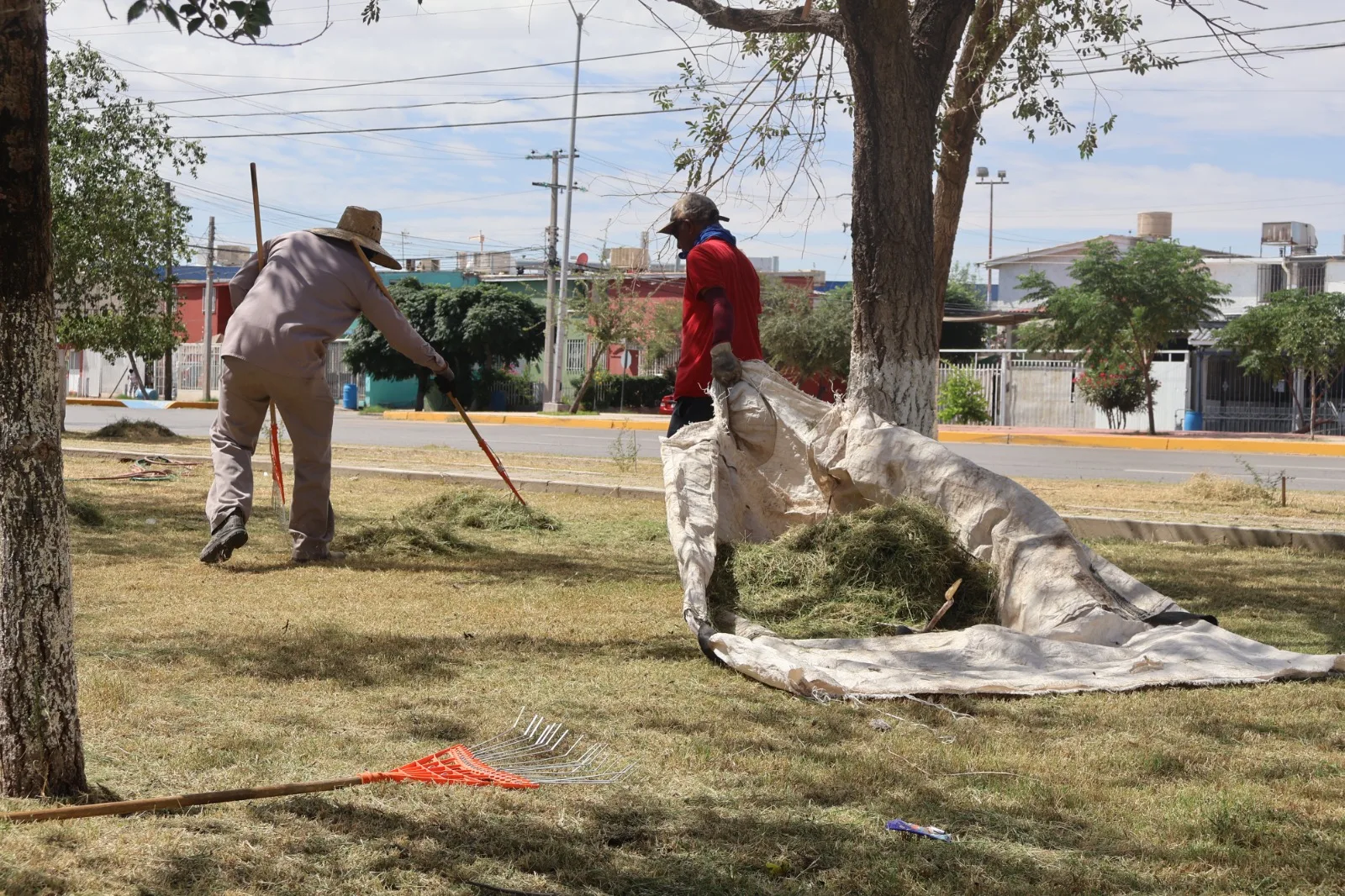 Mantenimiento en el Parque de La Familia busca mejorar espacios públicos en Ciudad Juárez - imagen 3