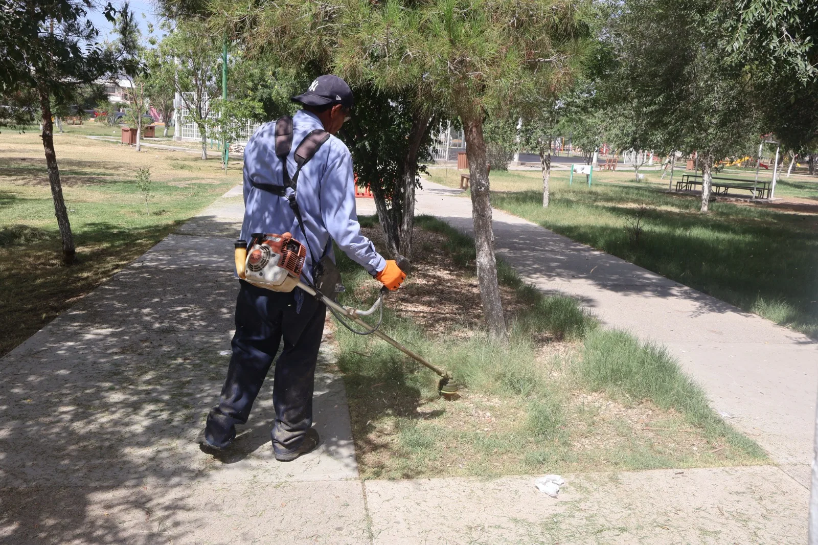 Mantenimiento en el Parque de La Familia busca mejorar espacios públicos en Ciudad Juárez - imagen 2