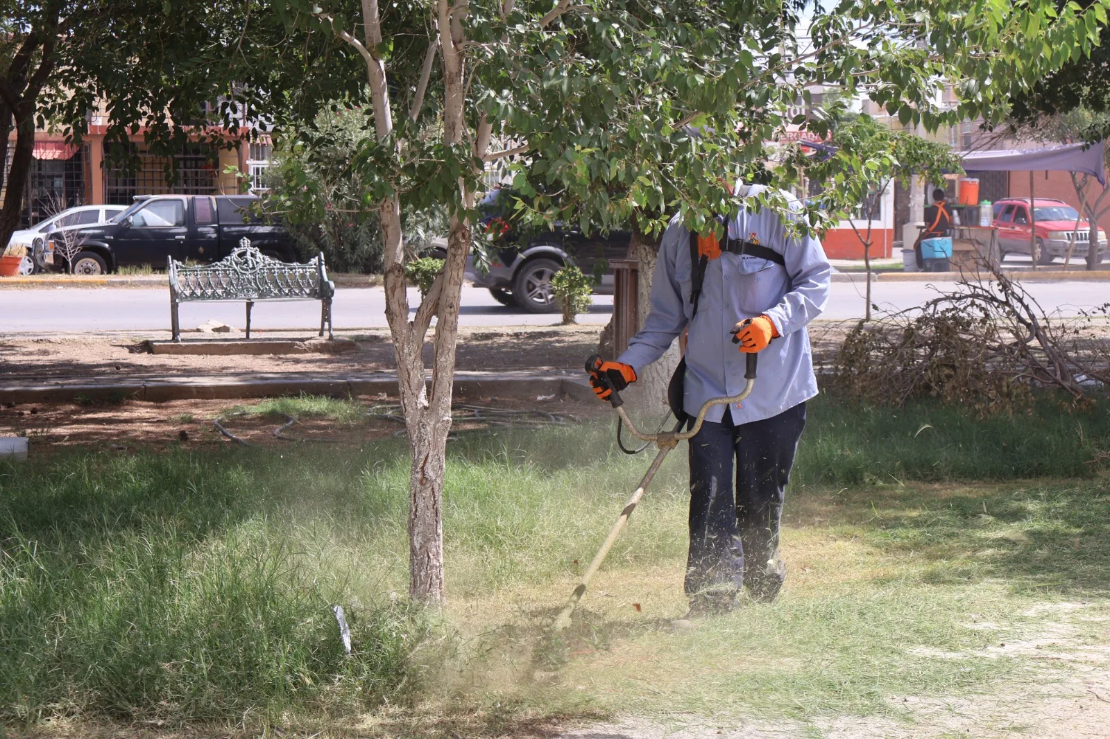 Mantenimiento en el Parque de La Familia busca mejorar espacios públicos en Ciudad Juárez - imagen 4