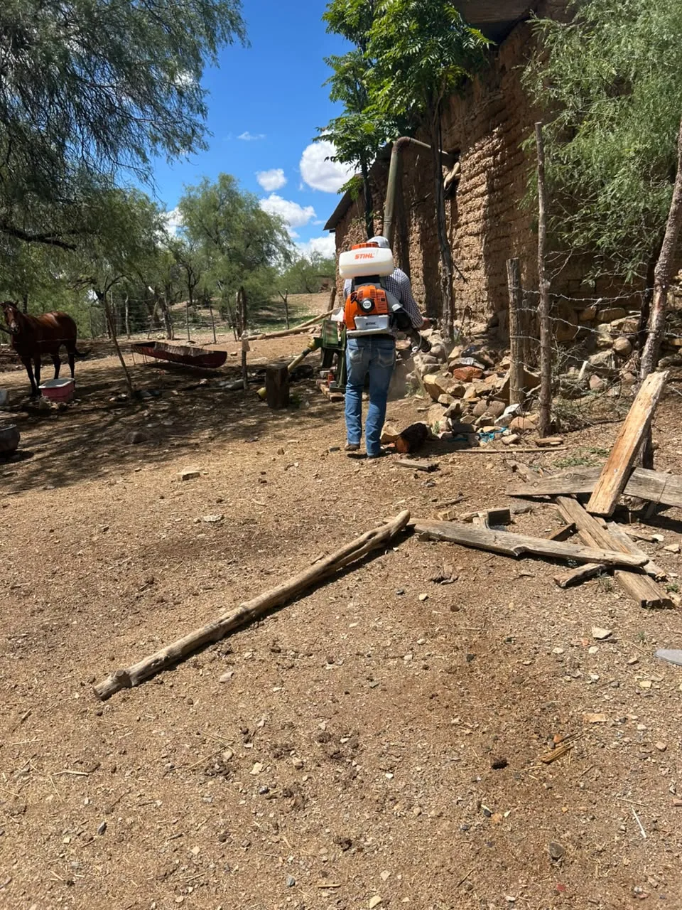 Continúa en Parral el barrido sanitario para controlar el Gusano Barrenador del Ganado - imagen 6