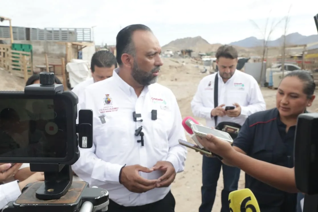 Gobierno de Juárez impulsa reglamento para fortalecer bienestar animal - imagen 1