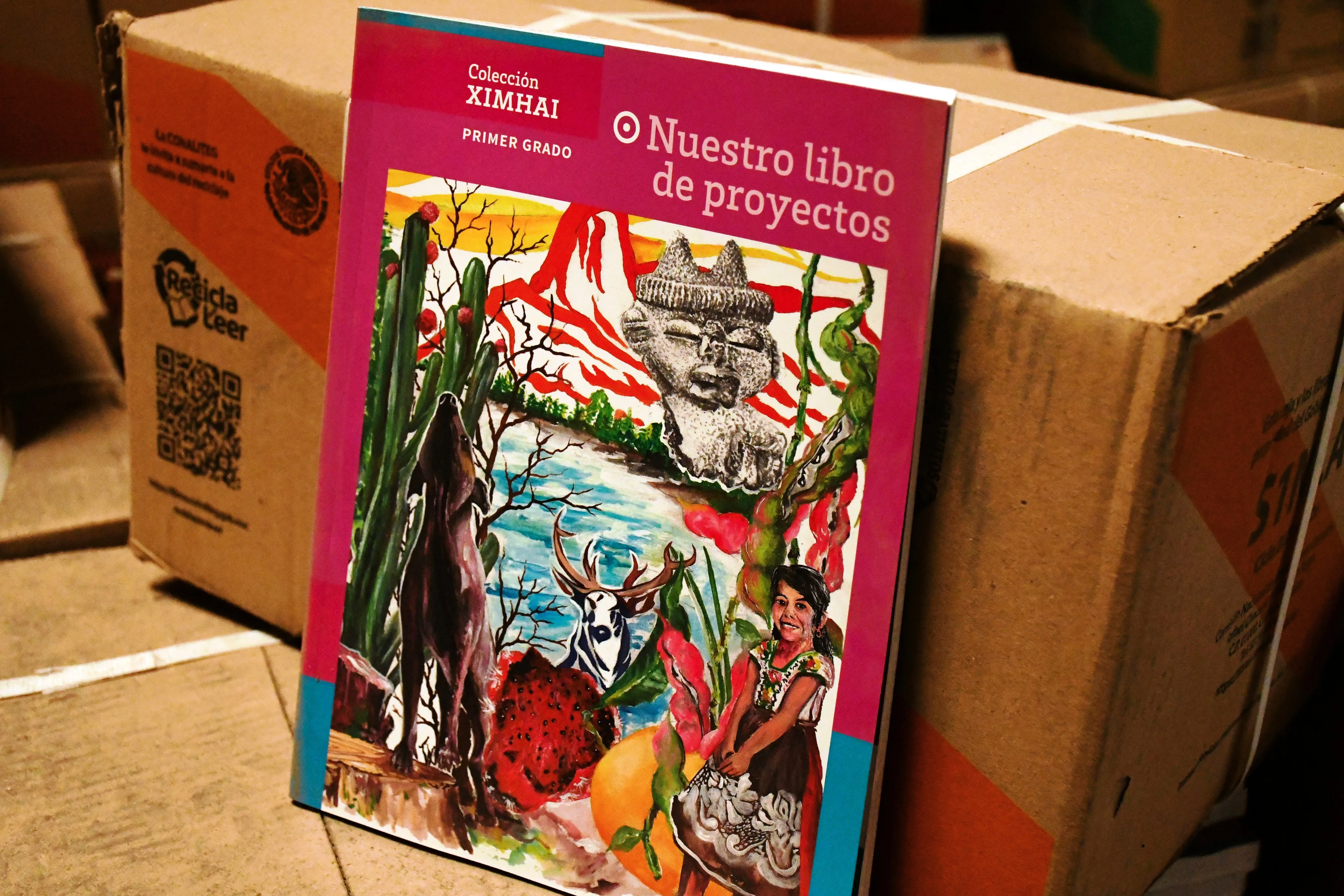 Ciudad Juárez recibe casi 75% de Libros de Texto Gratuitos para ciclo escolar 2026-2027 - imagen 5