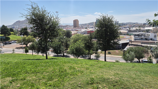Parque El Palomar en Chihuahua recupera su esplendor tras trabajos de mantenimiento integral - imagen 6