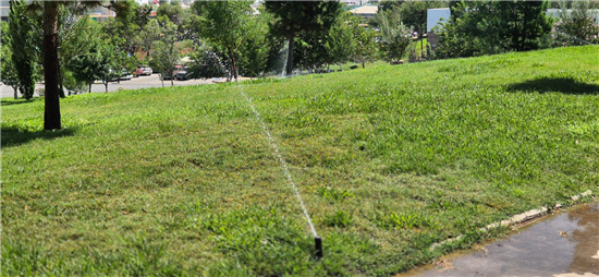 Parque El Palomar en Chihuahua recupera su esplendor tras trabajos de mantenimiento integral - imagen 7